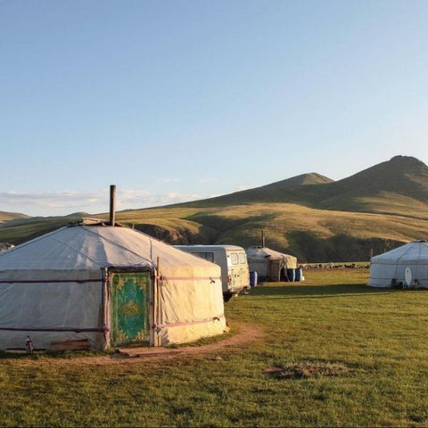 Yurt glamping