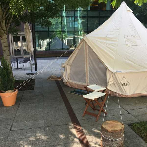 potted plants for bell tent concrete setup