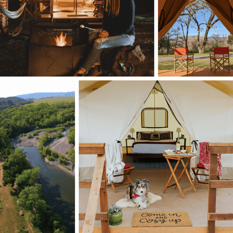 Wildhaven Sonoma glamping in Northern California